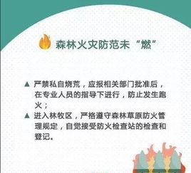 防山火安全知識資料