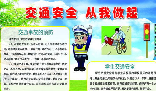 交通安全知識的作文