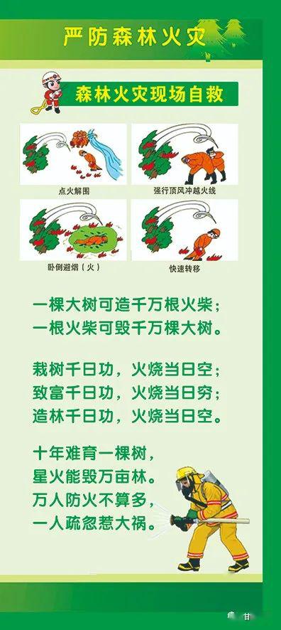 森林防火安全知識考試