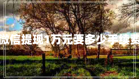 微信提現1萬(wàn)元要多少手續費