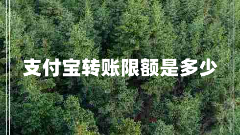 支付寶轉賬限額是多少