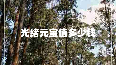 光緒元寶值多少錢(qián)