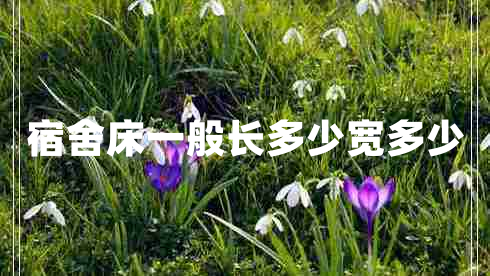 宿舍床一般長(cháng)多少寬多少