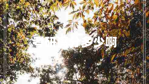 考研滿(mǎn)分多少啊