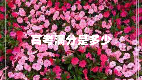 高考滿(mǎn)分是多少