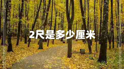 2尺是多少厘米 2尺是多少厘米