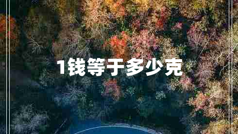 1錢(qián)等于多少克