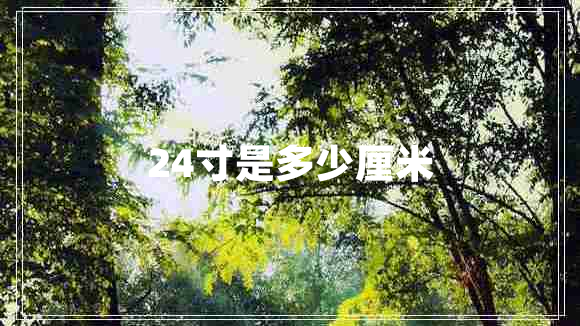 24寸是多少厘米 24寸是多少厘米