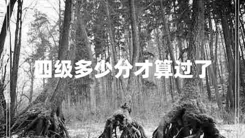 四級多少分才算過(guò)了