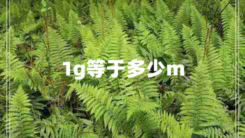 1g等于多少m
