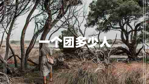 一個(gè)團多少人