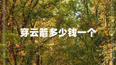 穿云箭多少錢(qián)一個(gè) 穿云箭多少錢(qián)一個(gè)