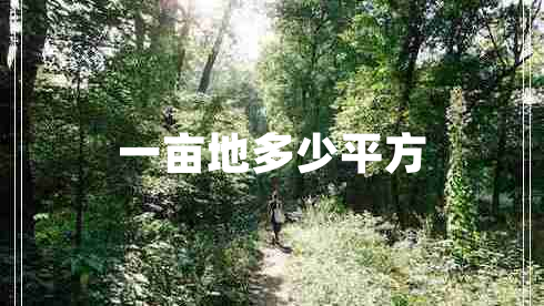 一畝地多少平方