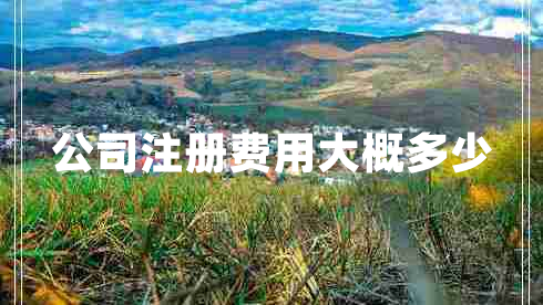 公司注冊費用大概多少 公司注冊費用大概多少