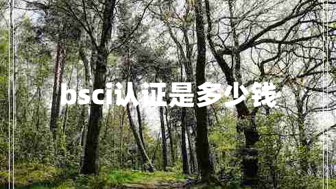 bsci認證是多少錢(qián)