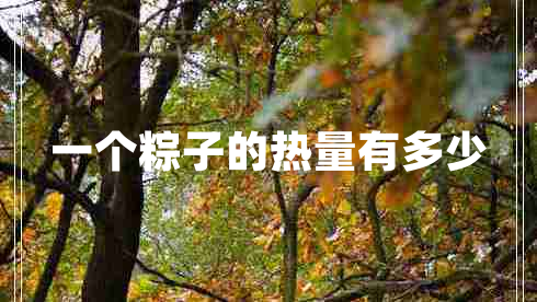 一個(gè)粽子的熱量有多少