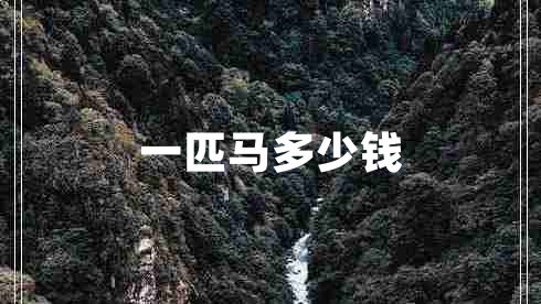 一匹馬多少錢(qián)