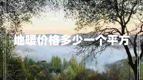 地暖價(jià)格多少一個(gè)平方