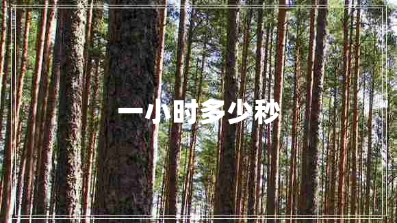 一小時(shí)多少秒