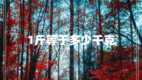 1斤等于多少千克