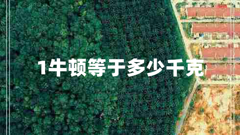 1牛頓等于多少千克