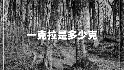 一克拉是多少克