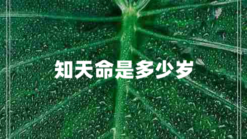 知天命是多少歲