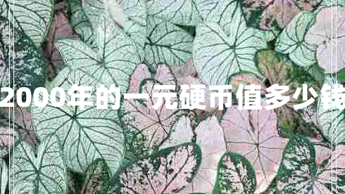 2000年的一元硬幣值多少錢(qián)