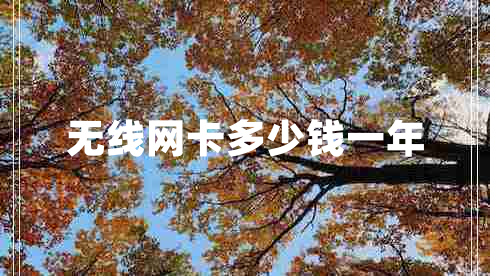 無(wú)線(xiàn)網(wǎng)卡多少錢(qián)一年