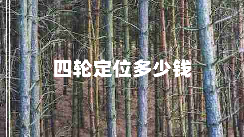 四輪定位多少錢(qián)