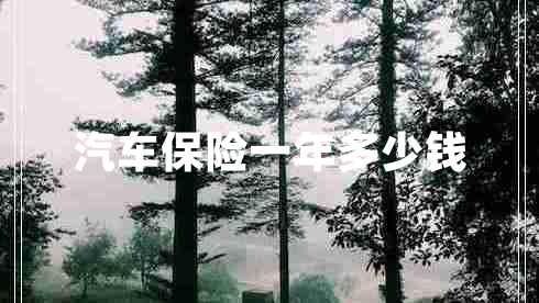 汽車(chē)保險一年多少錢(qián)