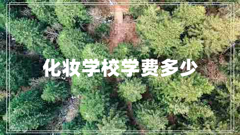 化妝學(xué)校學(xué)費多少