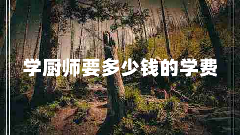 學(xué)廚師要多少錢(qián)的學(xué)費 學(xué)廚師要多少錢(qián)的學(xué)費