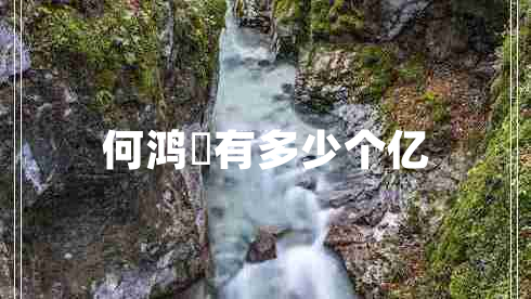 何鴻燊有多少個(gè)億