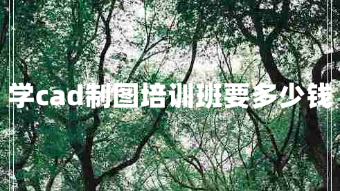 學(xué)cad制圖培訓班要多少錢(qián)
