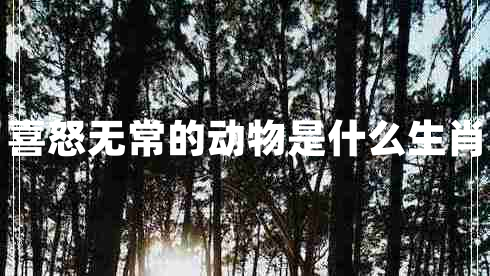 喜怒無(wú)常的動(dòng)物是什么生肖