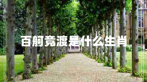 百舸競渡是什么生肖