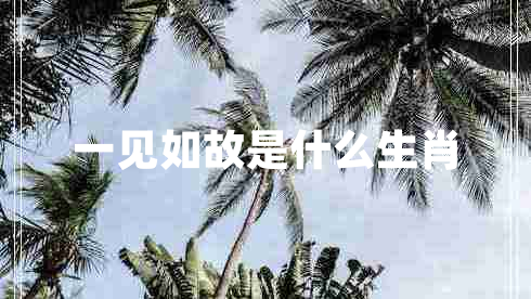 一見(jiàn)如故是什么生肖