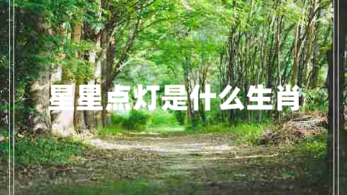 星星點(diǎn)燈是什么生肖