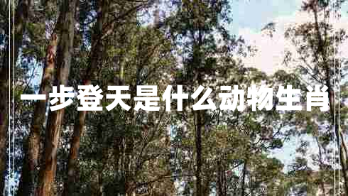 一步登天是什么動(dòng)物生肖 一步登天是什么動(dòng)物生肖