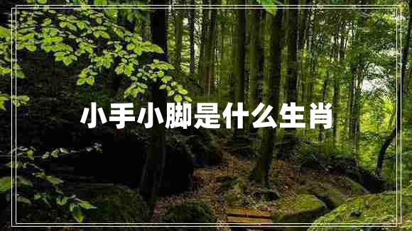 小手小腳是什么生肖