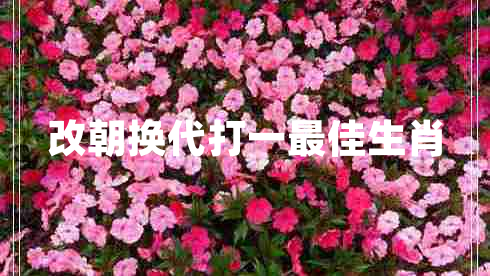 改朝換代打一最佳生肖