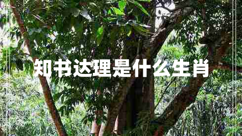 知書(shū)達理是什么生肖 知書(shū)達理是什么生肖