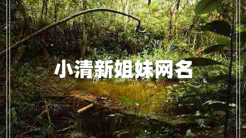 小清新姐妹網(wǎng)名