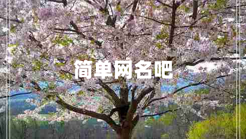 簡(jiǎn)單網(wǎng)名吧
