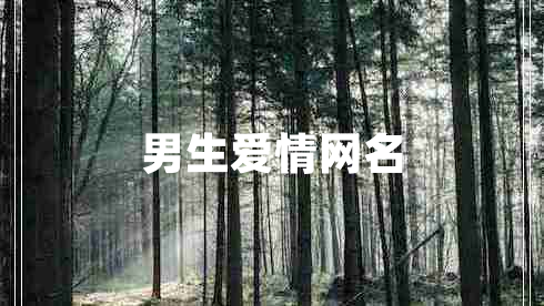 男生愛(ài)情網(wǎng)名