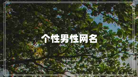 個(gè)性男性網(wǎng)名