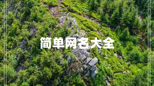 簡(jiǎn)單網(wǎng)名大全