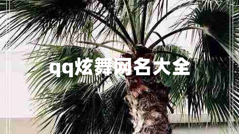 qq炫舞網(wǎng)名大全