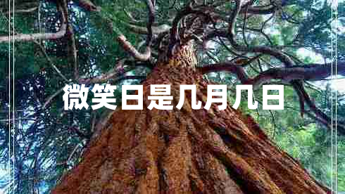 微笑日是幾月幾日